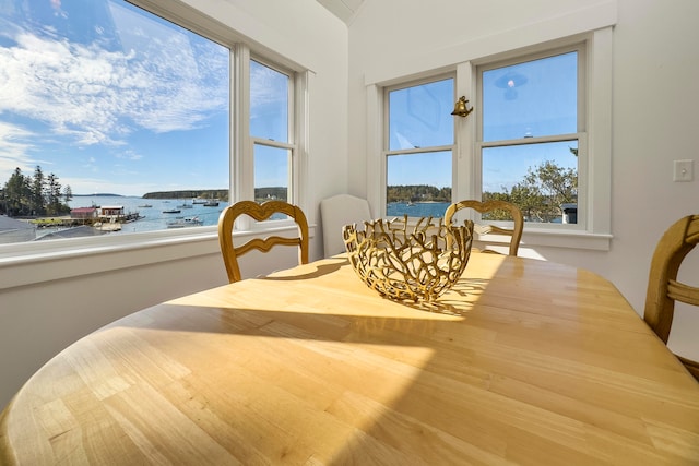 dining area with plenty of natural light, wood-type flooring, and a water view