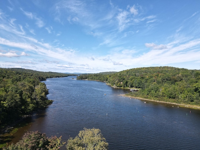 water view featuring a wooded view