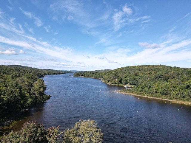 water view featuring a view of trees