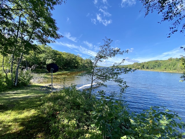 property view of water with a wooded view