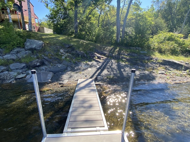 view of dock