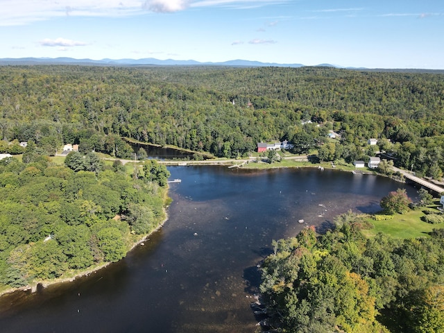birds eye view of property with a water and mountain view and a forest view