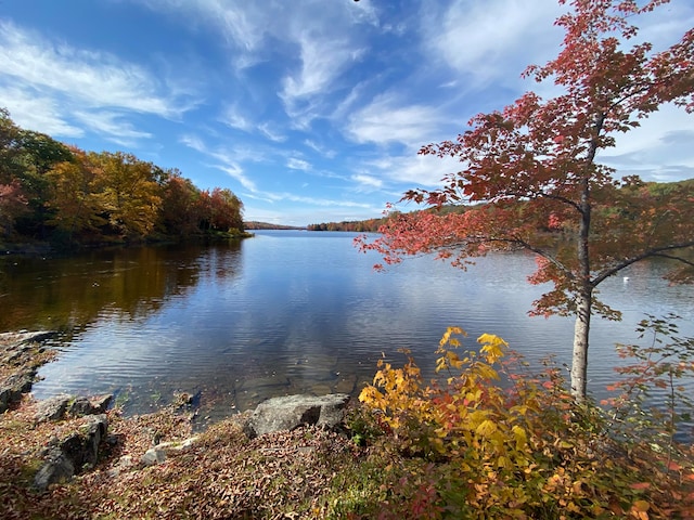 property view of water