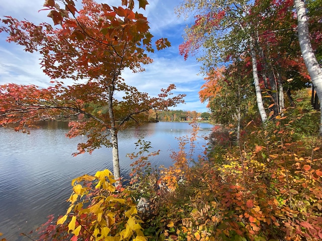 property view of water