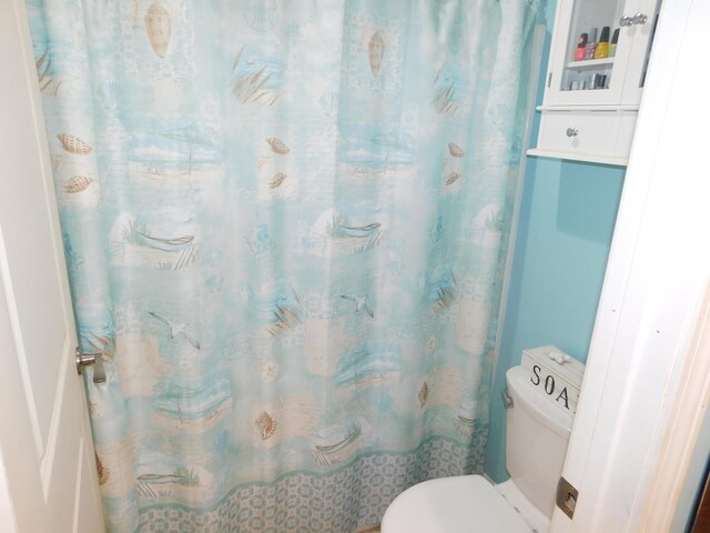 bathroom with toilet and a shower with curtain