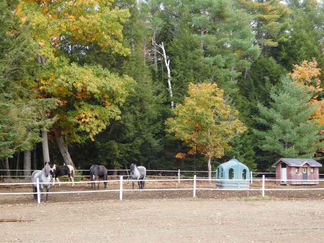 view of home's community with an outbuilding and a shed