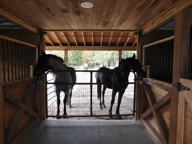 view of stable