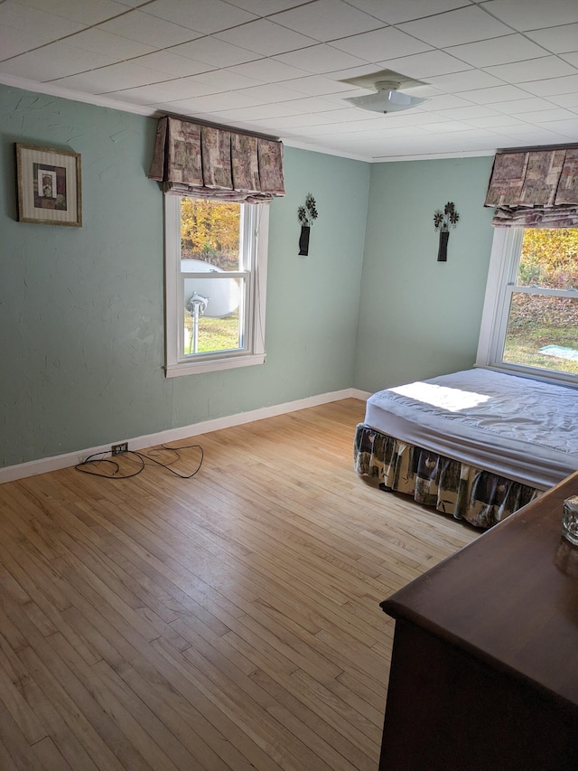 unfurnished bedroom with ceiling fan, multiple windows, and light hardwood / wood-style flooring