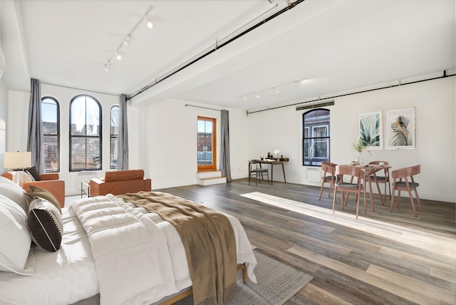 bedroom featuring dark hardwood / wood-style floors, rail lighting, and multiple windows