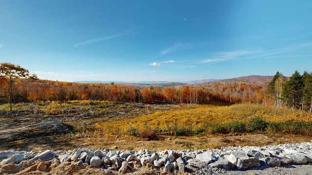 property view of mountains