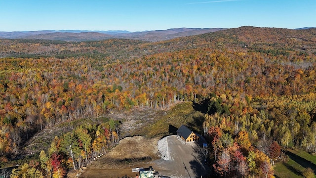 bird's eye view with a mountain view