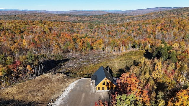 aerial view with a mountain view