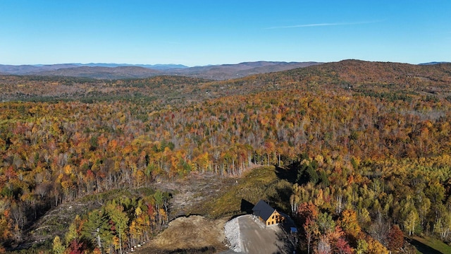 view of mountain feature