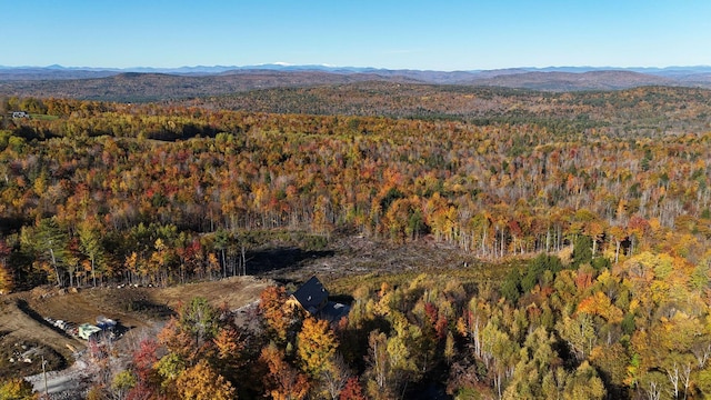 bird's eye view with a mountain view