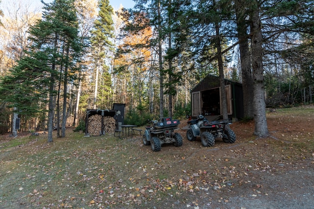 view of yard featuring a storage unit