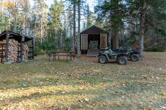 view of yard with a storage shed