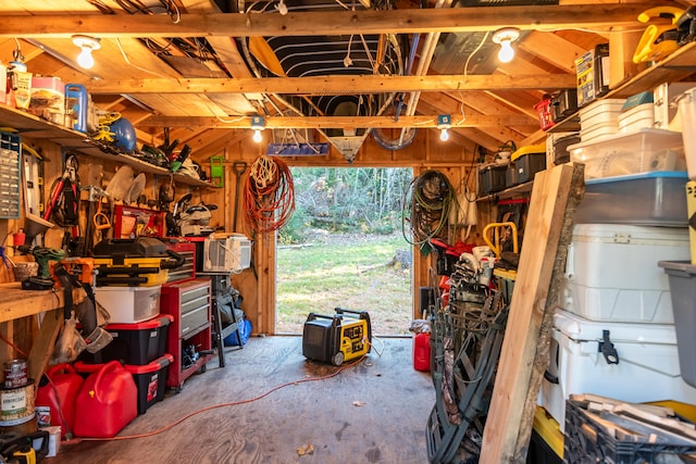 garage featuring wood walls and a workshop area