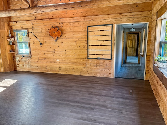 unfurnished room featuring dark hardwood / wood-style flooring, wooden walls, and a wealth of natural light