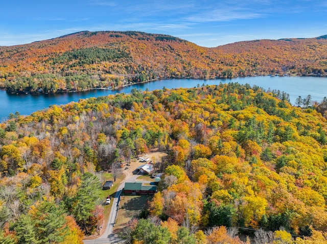 birds eye view of property with a water and mountain view