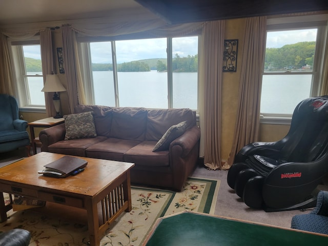 900 Brewer Lake Rd, Orrington, ME 04474 - living room with plenty of natural light, a water view, and light carpet