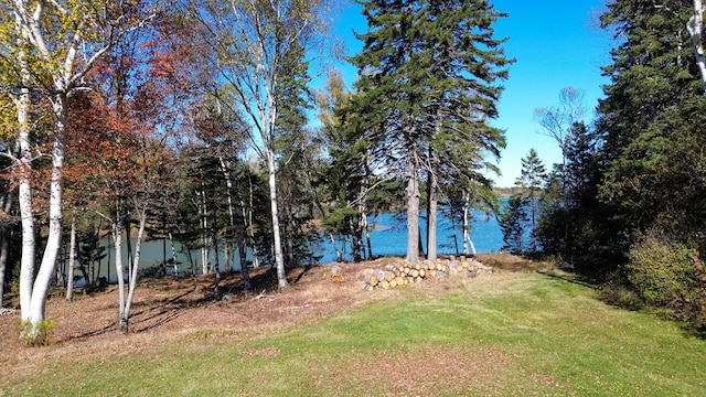 view of water feature