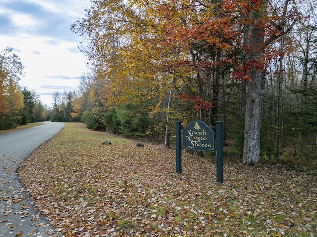 view of road featuring a wooded view