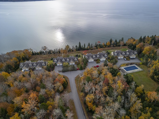 drone / aerial view with a residential view and a water view