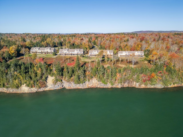 bird's eye view with a water view and a wooded view