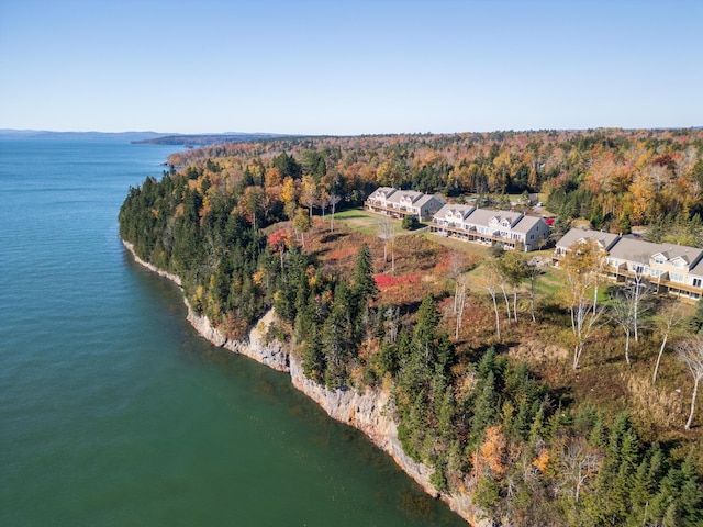 bird's eye view featuring a water view and a view of trees