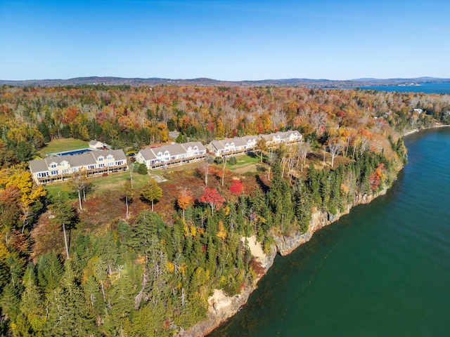 drone / aerial view with a water view and a forest view