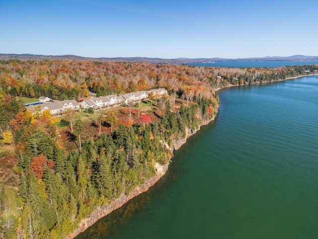 aerial view with a water view and a view of trees