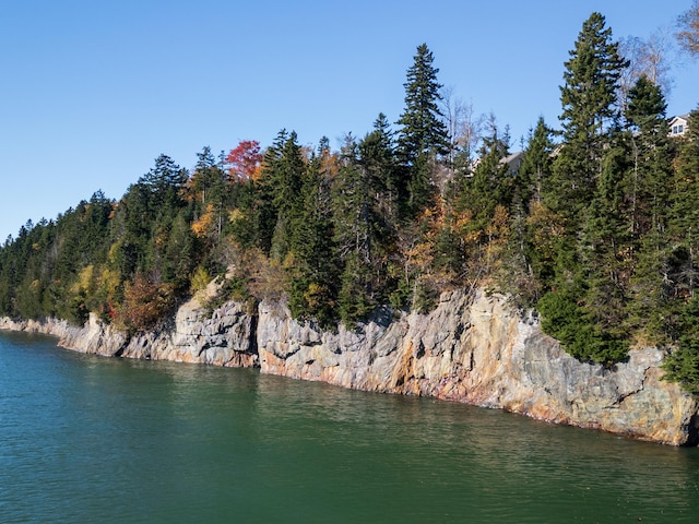 exterior space with a water view and a forest view