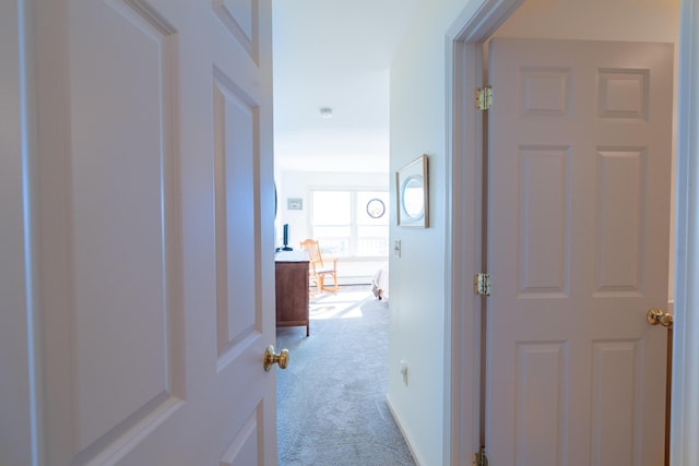 corridor featuring carpet flooring