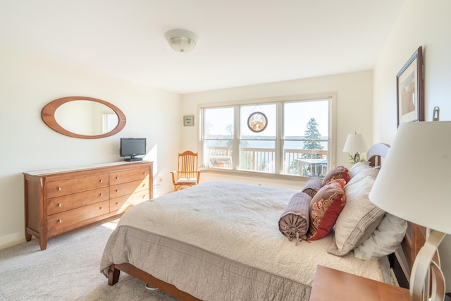 bedroom with carpet floors