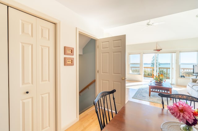 dining space featuring a ceiling fan, vaulted ceiling, and light wood-style flooring