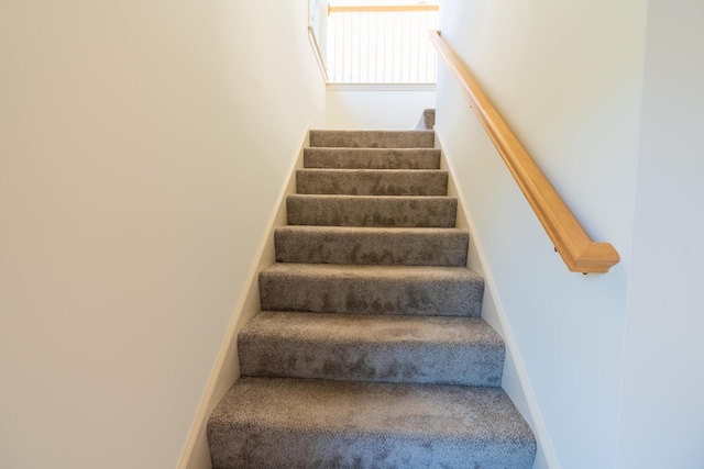 stairs with carpet flooring
