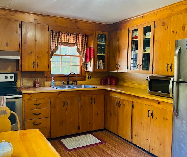 kitchen with ventilation hood, sink, appliances with stainless steel finishes, and hardwood / wood-style flooring