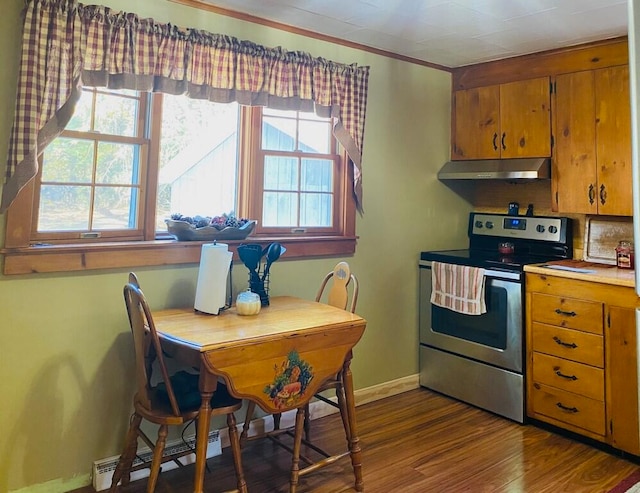 kitchen with a healthy amount of sunlight, a baseboard radiator, dark hardwood / wood-style flooring, and stainless steel electric range oven