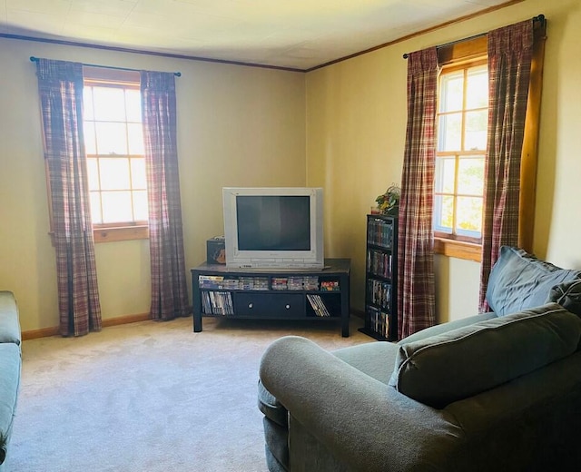 living room with light carpet and a healthy amount of sunlight