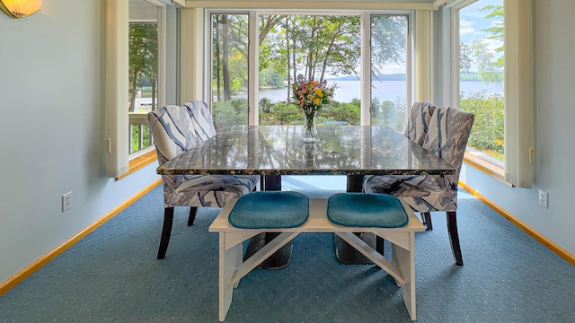 dining room featuring a water view and carpet flooring