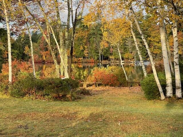 view of yard featuring a water view