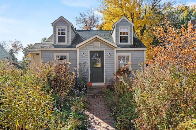 view of cape cod house