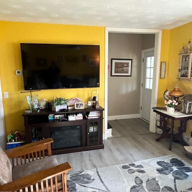 living room featuring light hardwood / wood-style floors