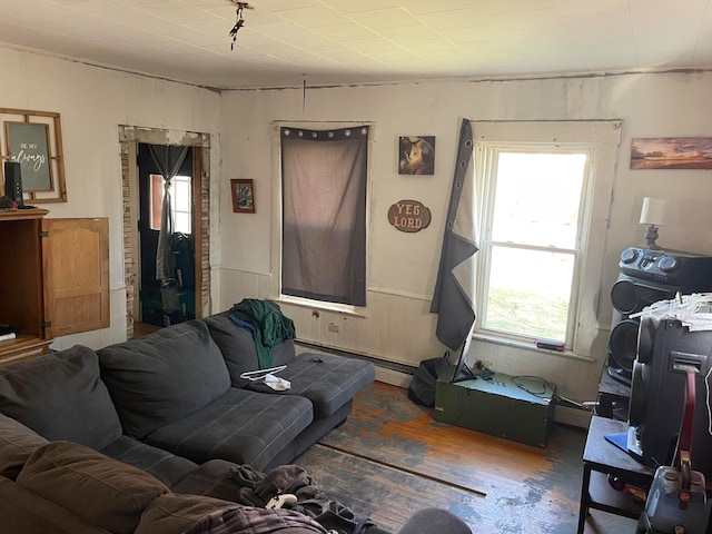 living room with dark hardwood / wood-style flooring and a baseboard heating unit