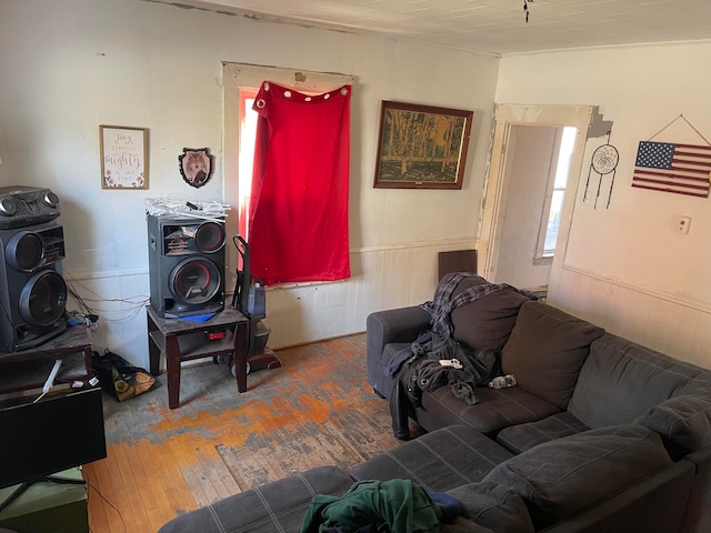 living room with hardwood / wood-style floors