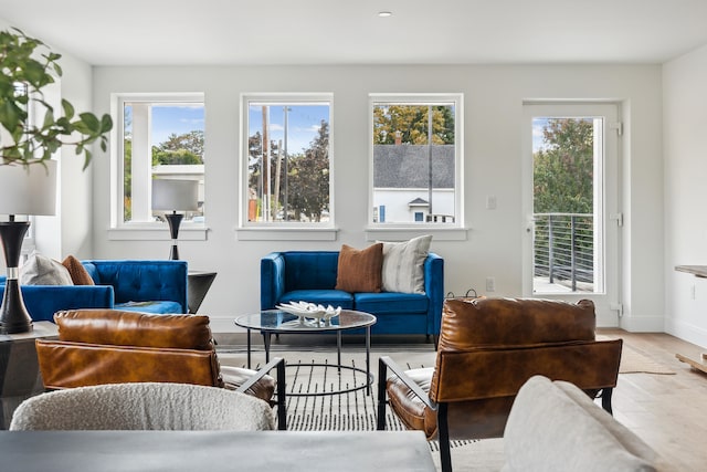 living room featuring light hardwood / wood-style flooring