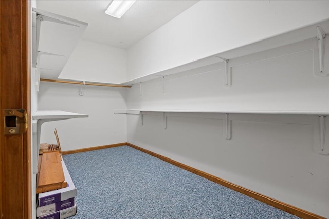 spacious closet with carpet floors