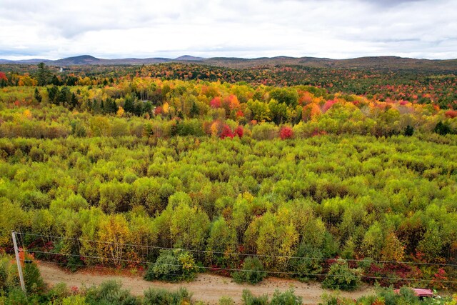 LOT122 Dana Jordan Dr, Amherst, ME 04605