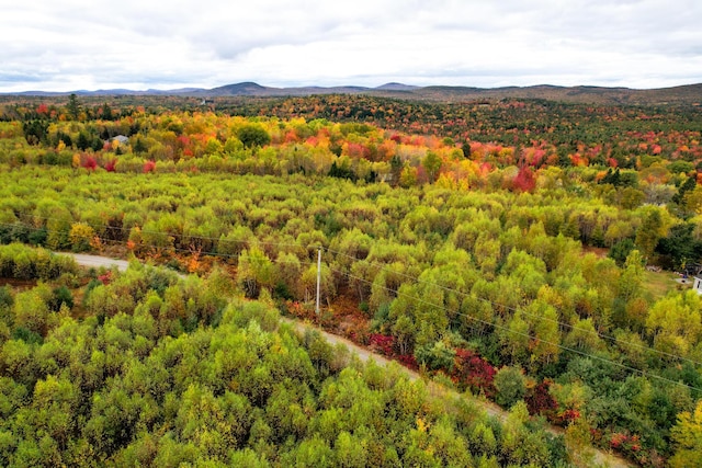 LOT122 Dana Jordan Dr, Amherst, ME 04605