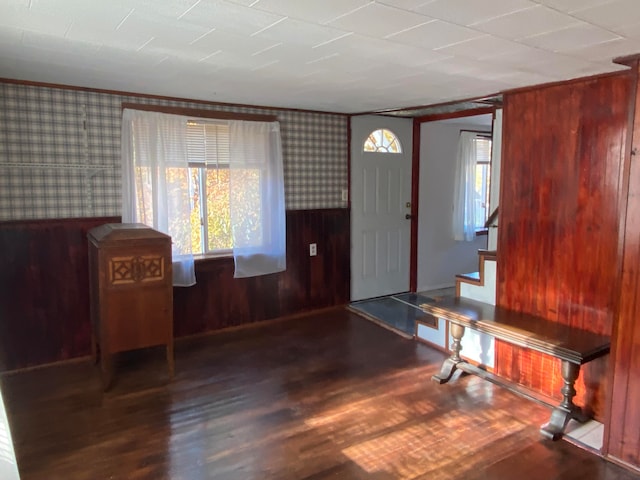 entryway featuring dark hardwood / wood-style flooring and wooden walls